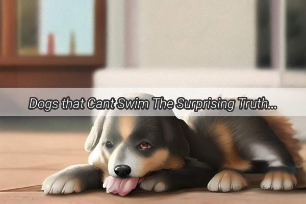 Dogs that Cant Swim The Surprising Truth Behind Mans Best Friends Aquatic Limitations